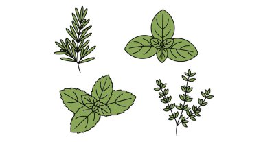 Bitkiler, baharatlar ve otlar..