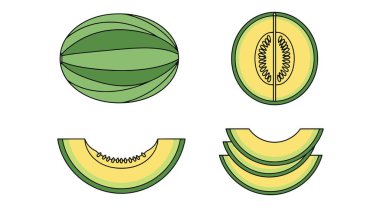 avokado meyve ikonu. beyaz arkaplanda izole edilmiş web tasarımı için avokado vektör simgelerinin çizgi filmi