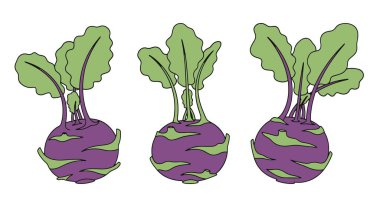 Kohlrabi Çizgisi Sanat Sanatı Konsepti