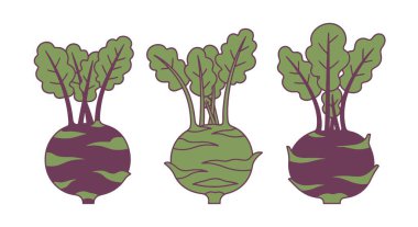 Kohlrabi Hattı sanat kalitesi yüksek