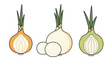 Pearl Onion Çizgisi Sanat Düz Çizimi