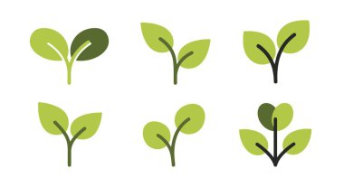 Filiz Çizgisi Sanat Rengi Temiz Tasarım