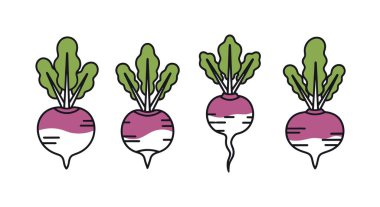 Havuç ikonu. düz dizayn. vektör illüstrasyonu.