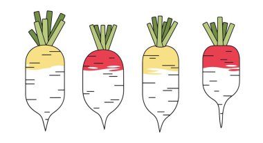 Beyaz Turp Hattı dosyalanmış renk temiz tasarımı