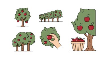 Apple Meyve Bahçesi Modern renk vektörü tasarımı