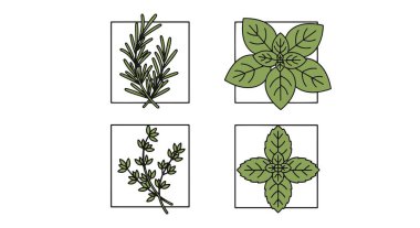 Mutfak Bitkileri Hattı Yumuşak ve zarif ton çizimi