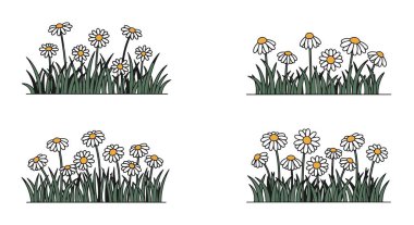 Daisy Alan Çizgisi sanat dinamik modern biçim vektörü