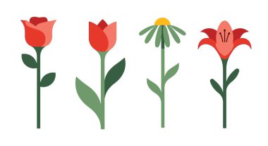 Flower Stem Line art soft clean color vector