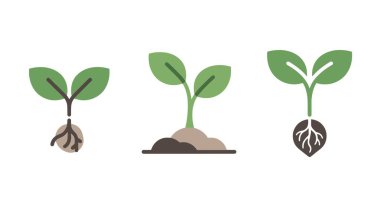 Çekirdek Çizgisi sanatı parlak soyut renk vektörü