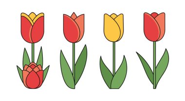 Lale Çiçeği Çizgisi minimal grafik renk vektörü