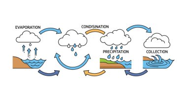 Water Cycle Line art premium color outline design modern mix vector