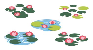 Water Lily Pond Line dynamic modern color vector