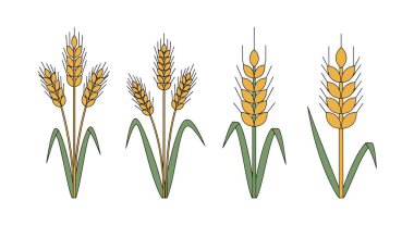 Buğday Çizgisi Sanat Grafikleri, yaratıcı, pürüzsüz modern