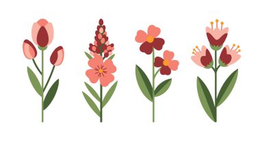 Yaban Çiçeği Çizgisi Sanat Dinamik Renkli Tasarım Çizimi