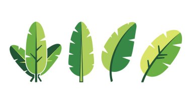 Muz yaprağı çizgisi düz soyut renk vektörü