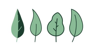 Okaliptüs yaprağı Çizgisi minimum renk vektörü tasarımı