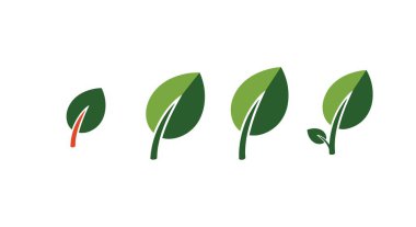 Büyüme Yaprak Çizgisi Sanatı Basit yaratıcı renk çizimi