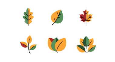 Yaprak koleksiyonu Modern renk vektör tasarımı