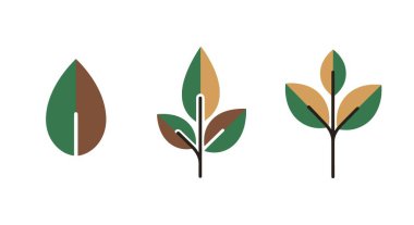 Yaprak amblemi sanat dinamik yaratıcı ton vektörü