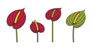 Anthurium Line sanatı en az dijital renk illüstrasyonu