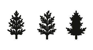 Arborvitae Çizgisi Sanatı soyut dinamik renk vektörü