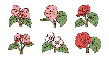 Begonya Çizgisi Sanatı En az soyut temiz çizim