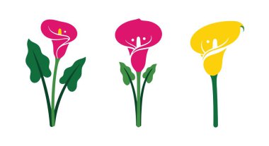 Calla Lily Çizgisi sanatı asgari soyut vektör