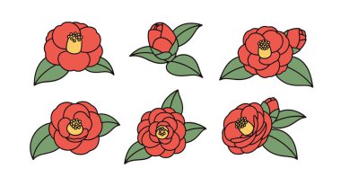 Kamelya Çizgisi Sanatı Temiz Renk Gösterimi