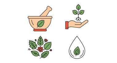 Bitkisel Formula Hattı yaratıcı yumuşak ton