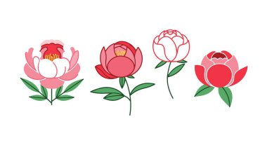 Peony Line sanatı minimum renk konsepti taşıyıcısı