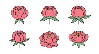 Peony Line sanatı soyut illüstrasyon temizliği