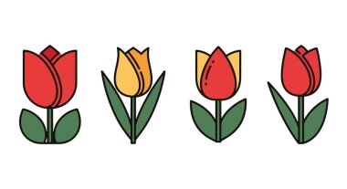 Lale Çiçeği Çizgisi, soyut ve pürüzsüz çizimler