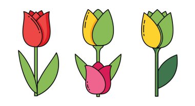 Lale Çizgisi Sanatı soyut dinamik renk vektörü