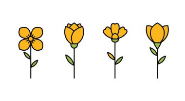 Sarı Çiçek Çizgisi en az pürüzsüz biçim resimlemesi