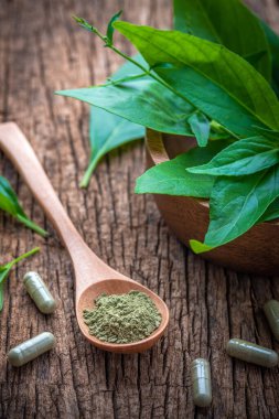 Andrographis panikledi ve tahta arka planda kapsül oluşturdu. Sağlık / Sağlık Hizmetleri.