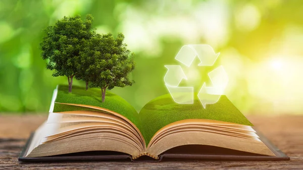 回收利用的标志在放在由植物制成的桌子上的一本书上 回收利用的概念 — 图库照片