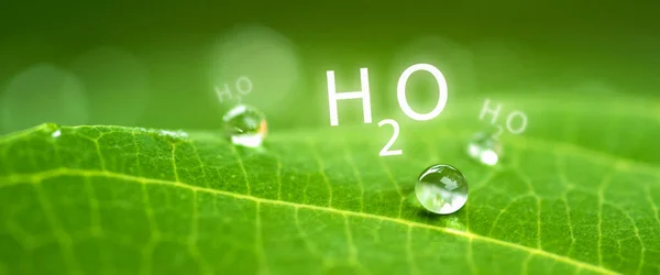 Капли Воды Зеленом Листе Символ H2O Концепция Природы Окружающей Среды — стоковое фото