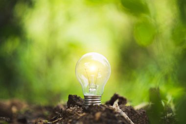 Ekoloji kavramı. Toprakta parlayan ampul. Sembol. 