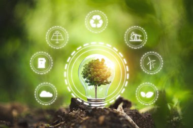 Ekoloji kavramı. Toprakta parlayan ampul. Sembol. Yeşil yaprak arka planında, yenilenebilir, sürdürülebilir kalkınma için enerji kaynaklarıyla birlikte doğaya karşı. 