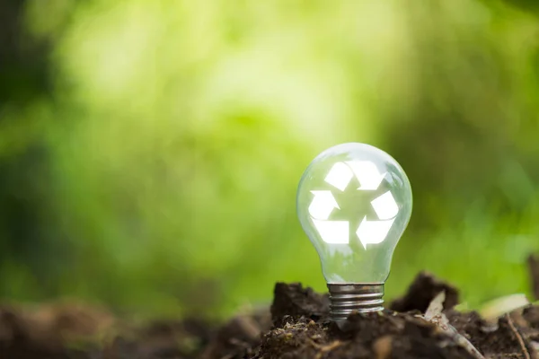 Light bulb in soil with natural bokeh background. Environment and energy resources concept.