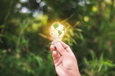 Çevre ve alternatif enerji kavramı. Yenilenebilir enerji ve çevreyi gösteren sembollü ampuller.