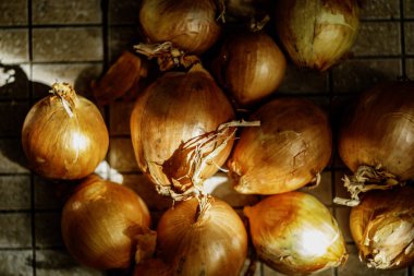 Metal tel örgü sepetinde depolanmış taze altın soğanlar. Kırsal sebze hasadı geçmişi.