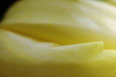 Sarı lale çiçeği taç yaprağı yüzeyinin makro dokusu. Soyut güneşli çiçek arkaplanı kapat.