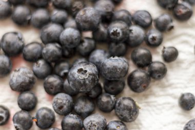 Sağlıklı besin kaynakları için beyaz bir yüzeyde su damlacıkları olan taze organik yaban mersinlerini kapatın..