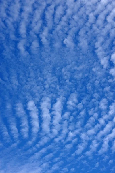 Lage Hoek Uitzicht Van Interessante Kleine Witte Wolken Formatie Brede — Stockfoto