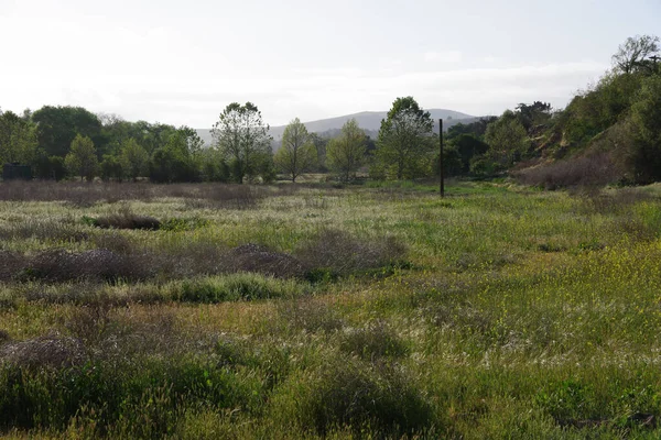 Φυσικό Τοπίο Κοιλάδα Santa Ynez Καλιφόρνια Την Άνοιξη — Φωτογραφία Αρχείου