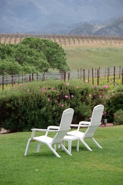 Two White Chairs Garden Overlooking Vineyard Landscape Royalty Free Stock Photos