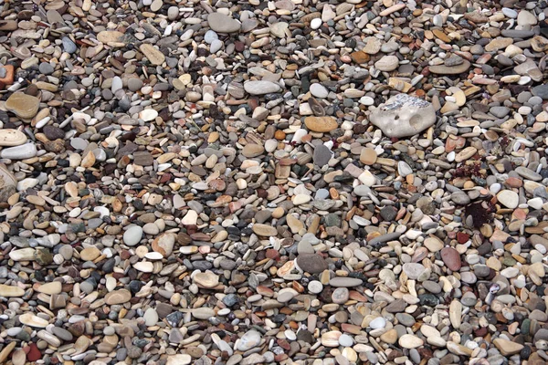 Kaliforniya Okyanus Sahilindeki Çakıl Taşları Tarlası — Stok fotoğraf