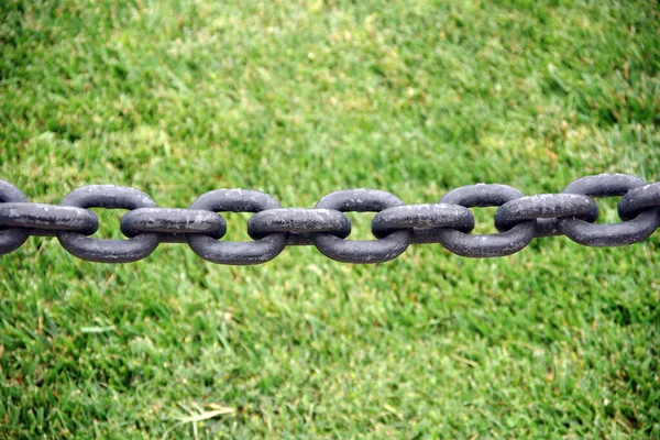 Close View Segment Heavy Black Iron Chain Closing Grassy Park — Stock Photo, Image