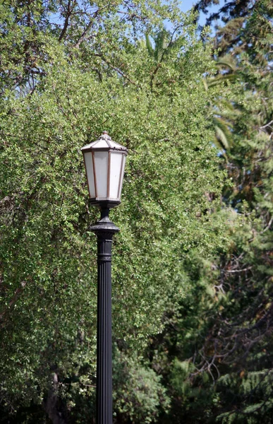 在绿树前的一盏旧式路灯的上部 — 图库照片